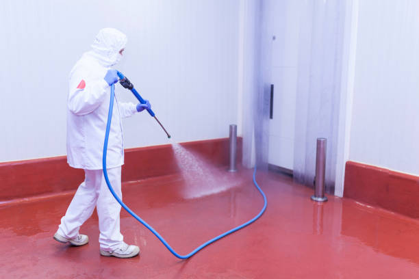 Best Driveway Cleaning and Restoration in Hughes Springs, TX
